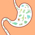 Gut microbiome Royalty Free Stock Photo