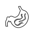 Gut parasites doodle, hand drawn vector doodle illustration of worm parasites inside the stomach