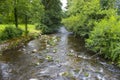 Gutach river in Black Forest in Germany Royalty Free Stock Photo