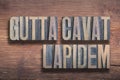 Gutta cavat lapidem wood Royalty Free Stock Photo