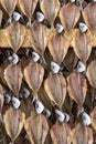 Gutted fish is dried on a metal mesh background