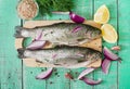 Gutted trout on a bright wooden background. Royalty Free Stock Photo