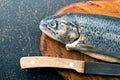 The gutted trout on kitchen table Royalty Free Stock Photo