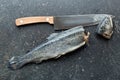 The gutted trout on kitchen table Royalty Free Stock Photo