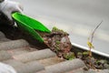 Gutter_cleaning Royalty Free Stock Photo
