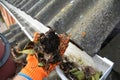 Gutter cleaning with hand from fallen leaves Royalty Free Stock Photo