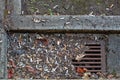 Gutter drain after rain full of cigarette butts Royalty Free Stock Photo