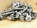 Gutter screws