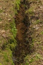 Gutter in spruce forest in spring day in Krusne mountains Royalty Free Stock Photo