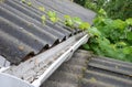 Guttering. Wet asbestos house roof and plastic rain gutter pipeline