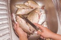 Gutting and cleaning of fish over the sink Royalty Free Stock Photo