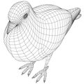 Pigeon polygonal lines illustration.