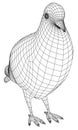 Pigeon polygonal lines illustration.