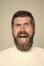 Guy or bearded man on grey background. Royalty Free Stock Photo