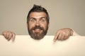 Guy or bearded man on grey background. Royalty Free Stock Photo