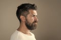 Guy or bearded man on grey background. Royalty Free Stock Photo