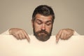 Guy or bearded man on grey background. Royalty Free Stock Photo