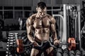 Guy bodybuilder with barbell Royalty Free Stock Photo