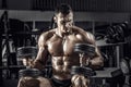 Guy bodybuilder with dumbbell Royalty Free Stock Photo