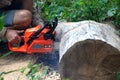 Guy cuts a chainsaw stump of a fallen tree