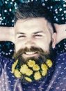Guy with dandelions in beard relaxing, top view. Breeziness concept. Man with beard on smiling face put hands behind Royalty Free Stock Photo
