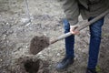 Guy digs a hole with a shovel for planting spring trees Royalty Free Stock Photo