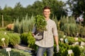 Guy gardener holds in his hand a pot with plant in the wonderful nursery-garden on a warm sunny day