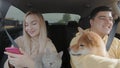 A guy and a girl are driving in a car with a cat and a dog. The girl looks at her phone. People and animals ride in a Royalty Free Stock Photo