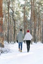 Guy and girl hold hands and walk in snowy park. Back view. Young couple walks in winter through the forest. Vertical frame Royalty Free Stock Photo