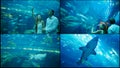 Guy and Girl walk on an underwater aquarium. Royalty Free Stock Photo