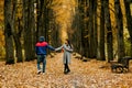 A guy and a girl are walking along the alley of the park in autumn. A romantic date, a walk, family time. Rear view Royalty Free Stock Photo