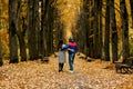 A guy and a girl are walking along the alley of the park in autumn. A romantic date, a walk, family time. Rear view Royalty Free Stock Photo