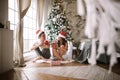 Guy and girl in white t-shirts and Santa Claus hats sit with red cups on the floor in front of the window next to the Royalty Free Stock Photo