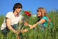 Guy gives to girl bouquet of roses Royalty Free Stock Photo