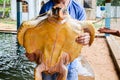 Guy is holding a big yellow tortoise with a large beak. saving animals in the Sea Turtles Conservation Research Project in Bentota