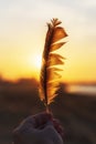 The guy holds a bird feather in his hand in front of the setting sun