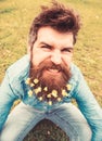 Guy with lesser celandine flowers in beard taking selfie photo. Hipster with angry grimace on face taking selfie photo