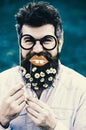 Guy looks nicely with daisy or chamomile flowers in beard. Man with long beard and mustache, defocused green background Royalty Free Stock Photo