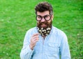 Guy looks nicely with daisy or chamomile flowers in beard. Man with long beard and mustache, defocused green background Royalty Free Stock Photo