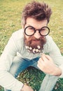 Guy looks nicely with daisy or chamomile flowers in beard. Springtime concept. Man with long beard and mustache Royalty Free Stock Photo