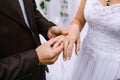 The guy makes an offer to marry his beloved girl, wears a ring. close-up