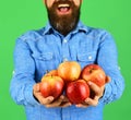 Guy presents homegrown harvest. Man with beard holds red apples