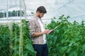 Guy with the tablet slowly inspect plants.