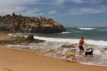 A guy walking his two dogs at sandy beach at Brenton on Sea Royalty Free Stock Photo