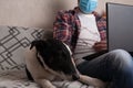 The guy works at home on freelance with his pet. The guy interacts with a dog on the couch with a medical mask Royalty Free Stock Photo