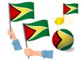 Guyana flag icon set Royalty Free Stock Photo
