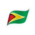 Guyana flag, illustration Royalty Free Stock Photo