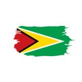 Guyana flag, illustration Royalty Free Stock Photo