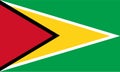 Guyana flag vector.Illustration of Guyana flag