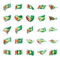 Guyana flag, vector illustration Royalty Free Stock Photo